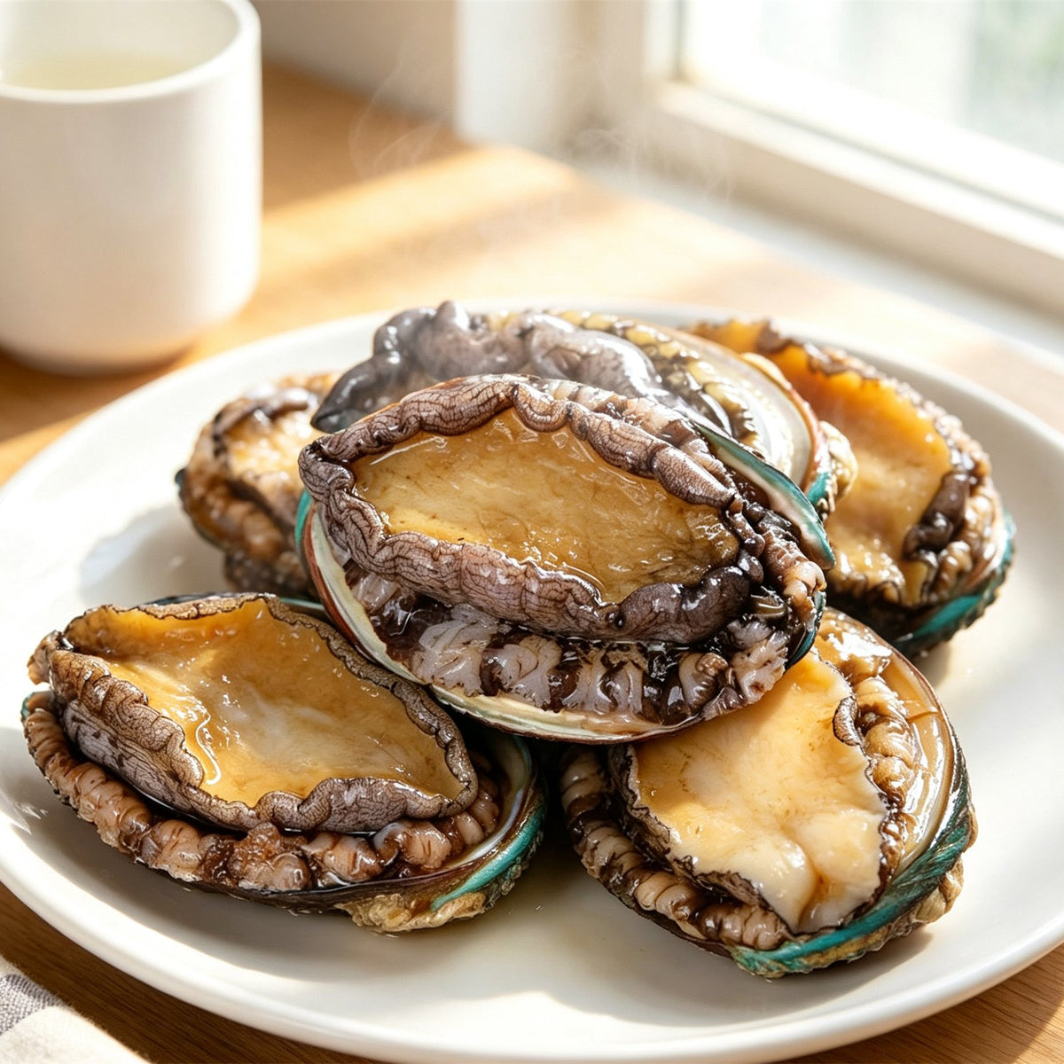 Fresh Abalone In The Shell